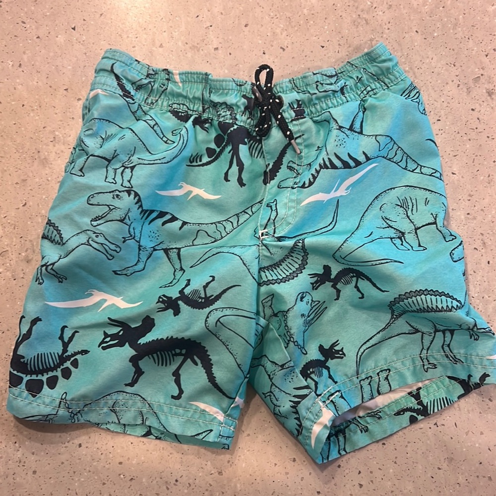 Boys 4T Swim Trunks